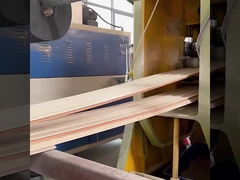 WPC ألواح الحائط الصوتية المقاومة للماء والرطوبة